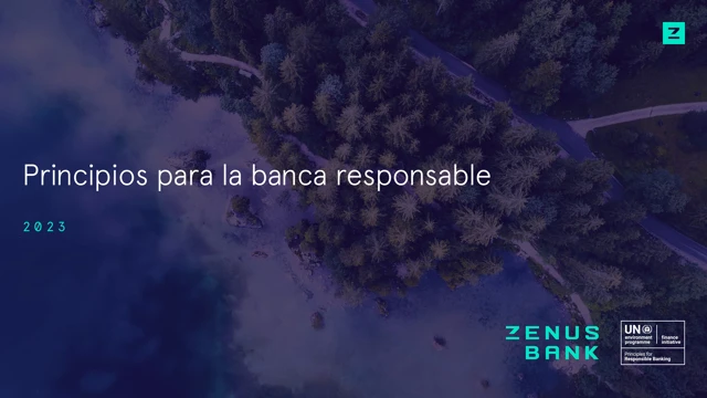 Report Cover Image ES